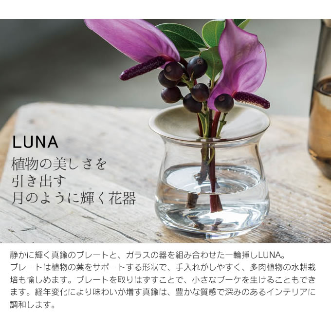 楽天市場 土日祝もあす楽 Kinto Luna ベース 8 7cm キントー ベース 一輪挿し 真鍮 真ちゅう 多肉植物 水耕栽培 花器 フラワーベース 花瓶 ガラス 北欧 シンプル おしゃれ ブランド 水栽培 お花 切り花 生花 玄関 インテリア リビング インテリアと雑貨のお店