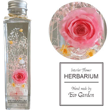 楽天市場】020 薔薇 ピンク pink ハーバリウム herbarium プリザーブド 