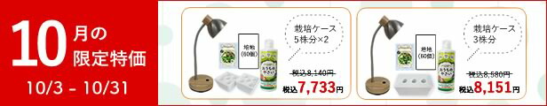 楽天市場】水耕栽培用 ハイドロコーン ハイドロボール 小粒 0.5L 観葉植物 水耕栽培 全般用 【あす楽】 : 水耕栽培専門店のエコゲリラ