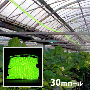 防虫用 LED ロープライト [黄緑]（防滴） 30m ロール売り■直送■ 防虫対策 66,550円