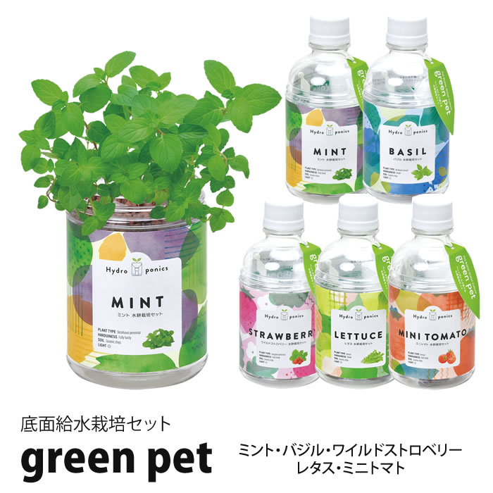 楽天市場】水耕栽培キット 水耕栽培 キット 栽培セット