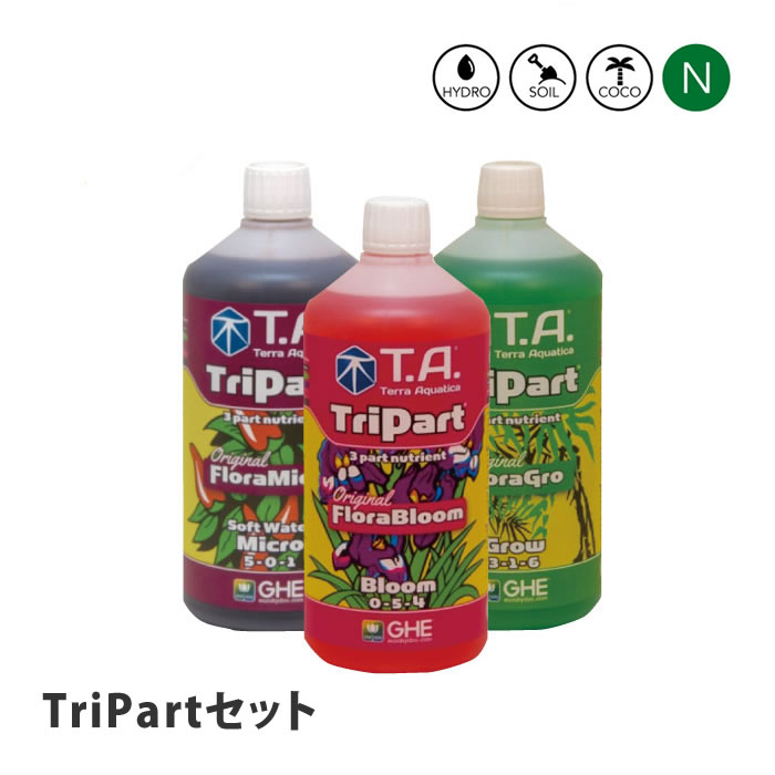 テラアクアティカ TriPart トリ構成成分 仕掛ける
