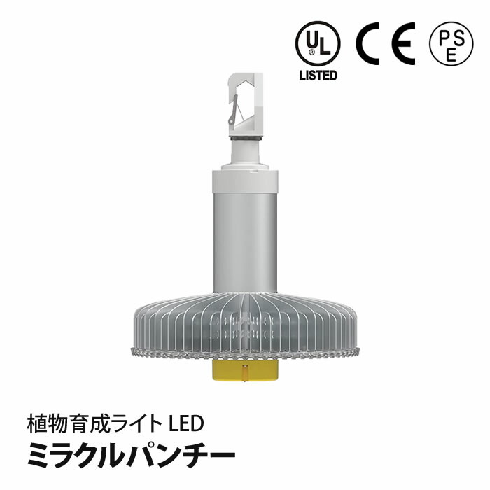 草木育みそだてるledともし火 ミラクルパンチー 草木作りだす用 高明快さ LED Ver.3 ■直送■
