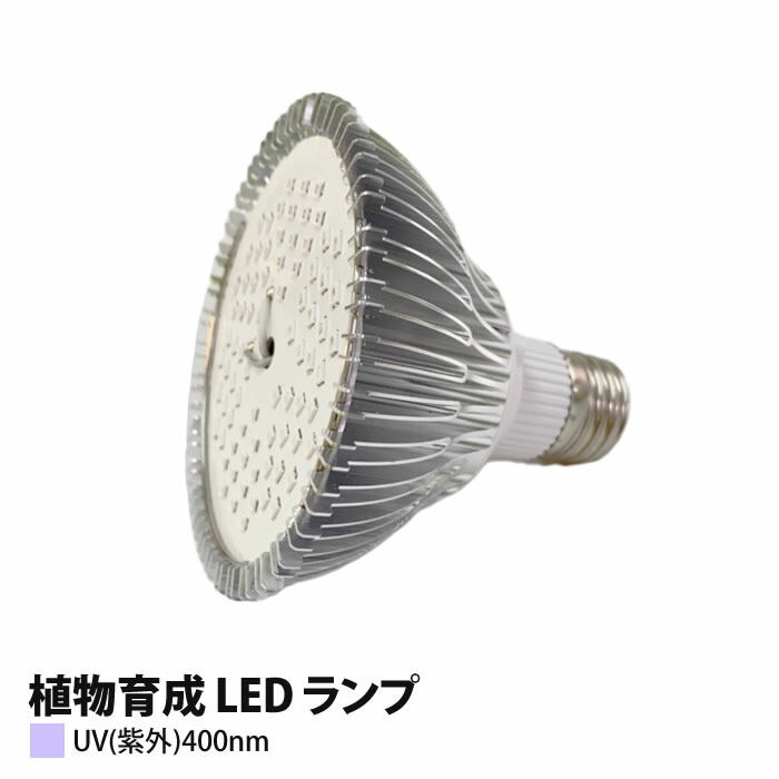 led_par30_400nm.jpg