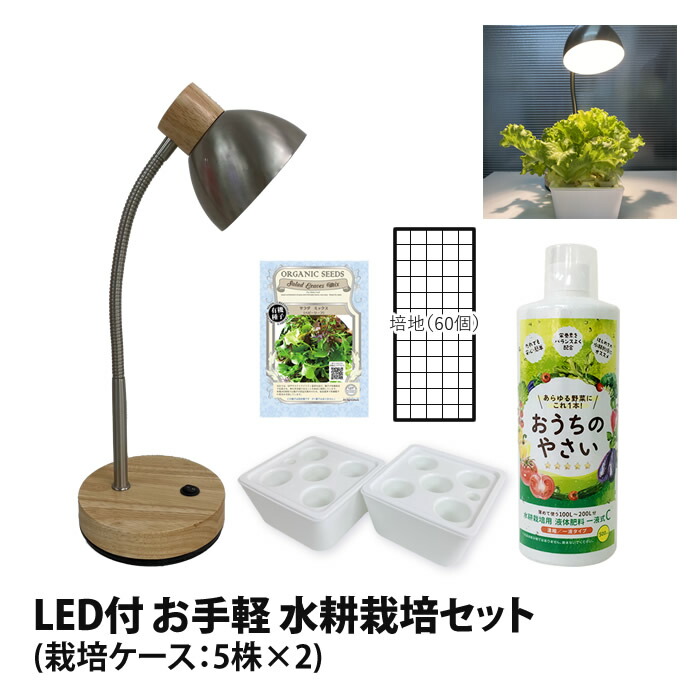 楽天市場】水耕栽培キット 水耕栽培 キット 栽培セット