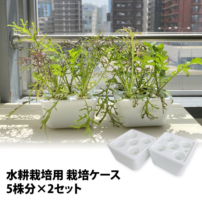 楽天市場】水耕栽培 ポット ネットポット カップ 3inch 1個 TA製 : 水
