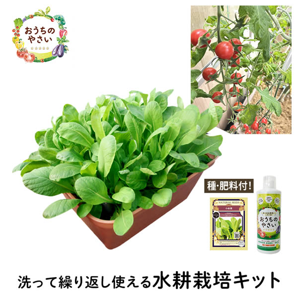 水耕作りだす一揃いの道具 身寄り家庭菜園 プランター作りだす仕かける おうちのやさい 家庭菜園一揃いの道具 水耕作りだす一揃いの道具 有機内果皮 種 肥やし 液肥 付 住まい 飾り気の無い 作りだす