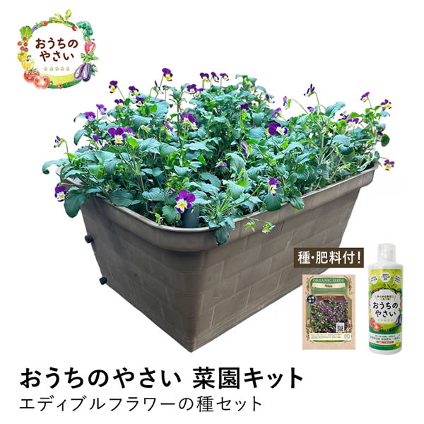 水耕作りだす一揃いの道具 プランター作りだす仕かける エディブルフラワー 有機内果皮 種 肥やし 付 おうちのやさい 家庭菜園一揃いの道具 水耕作りだす仕かける 水耕作りだす 一揃いの道具 住まい 飾り気の無い 作りだす