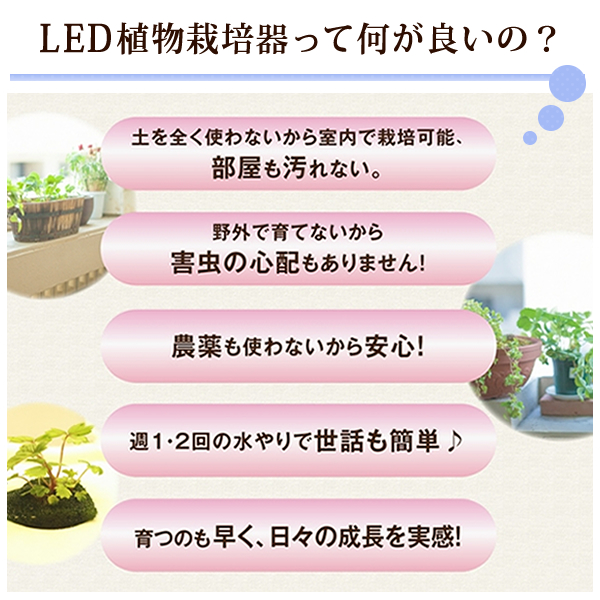 Led 水耕栽培 おしゃれ 家庭菜園 キット 水耕栽培キット アカリーナ Akarina15 Oma15 コンパクト 観葉植物 インテリア あす楽 Ocrmglobal Com