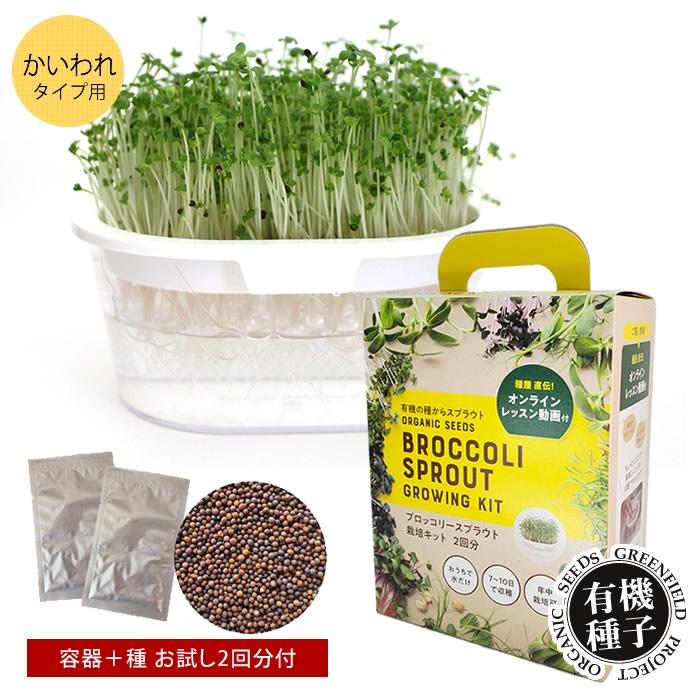 楽天市場】水耕栽培キット 水耕栽培 キット 栽培セット