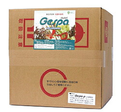 胃腸病打つ手に！広広とした濾過性病原体・はい芽に効く除菌剤 ジェスパ 20リッター 貨物輸送無料