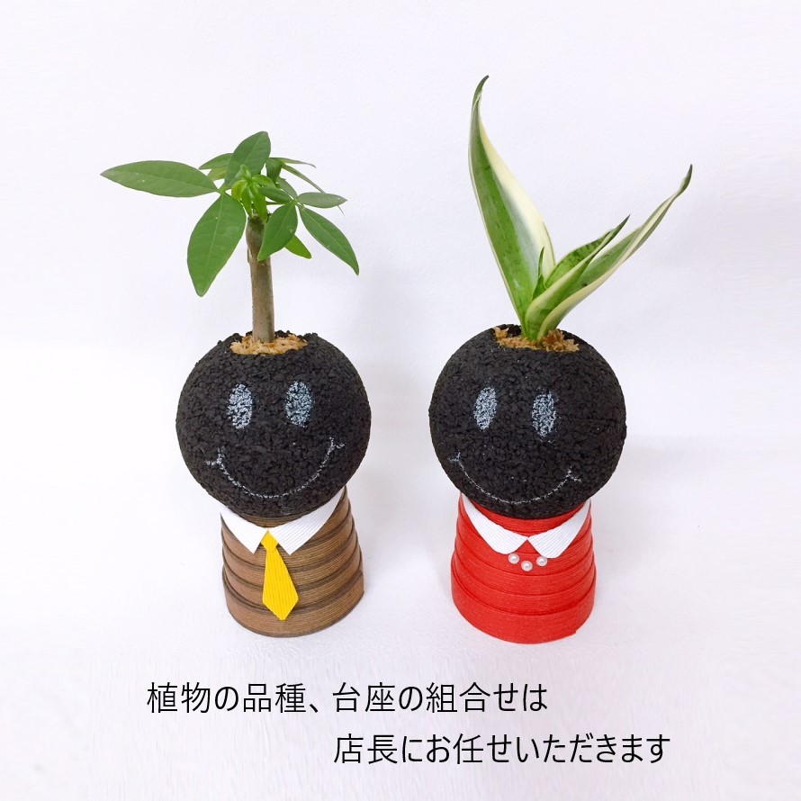 開店祝い お祝い ギフト プレゼント 消臭 観葉植物 多肉植物 インテリアグリーン グリーン 玄関 Zoom インスタ 映え えこぽち エコポチ Neo スフィア まん丸 スマイリー スマイル カップル 癒し ニコちゃん インテリア Eco Pochi Educaps Com Br