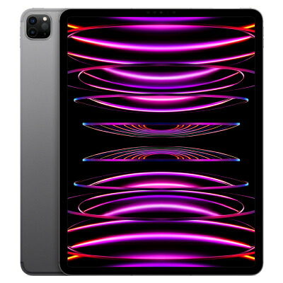 【第6時人】 iPad Pro 12.9in Wi-Fi+Cellular 256GB 間隔文字薄墨色 MP203J/A A2437 【docomo版SIM無償性】  Apple 当社３ヶ月間引き請ける 中古 持ちはこび御坊さん