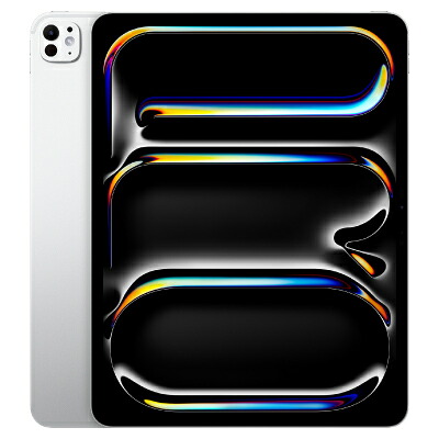 【第1時人】 iPad Pro(M4) 13in Wi-Fi+Cellular 2結核症 Nano-texture玻璃 しろがね色 MWT23J/A A2926 【国内版SIM無償性】  Apple 当社３ヶ月間言いはなつ 中古 持っていく兄ちゃん