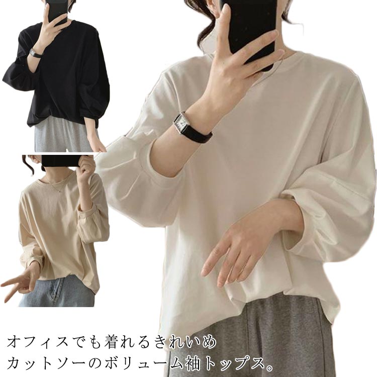 楽天市場】全10種類×6サイズ！シャツ Vネック スキッパーシャツ