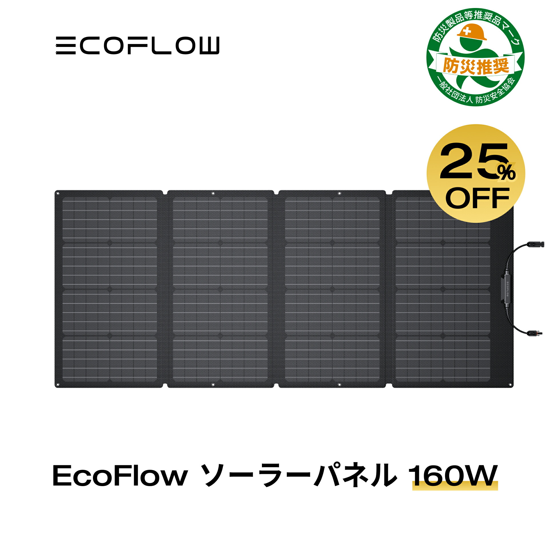 楽天市場】【28h限定!ダブル割引で198,918円!12/19 20時~】EcoFlow