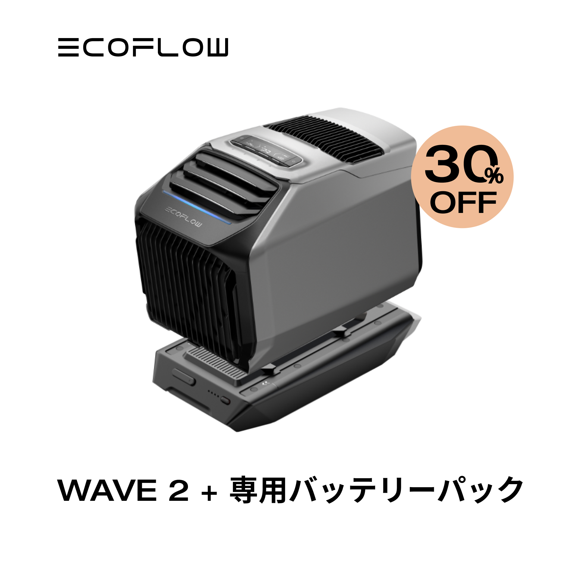 楽天市場】【25%OFFクーポン利用で107,250円!】夏&冬両用 EcoFlow 