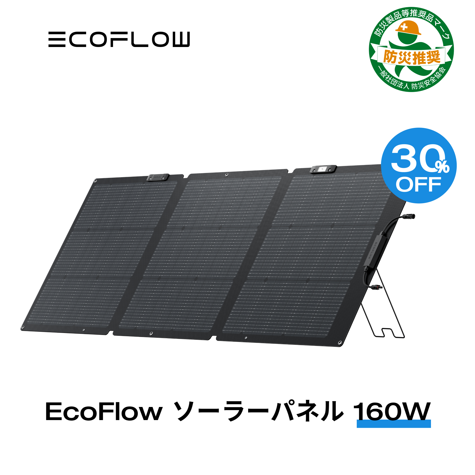 楽天市場】【クーポン使用で30,030円! 】EcoFlow ソーラーパネル 160W 