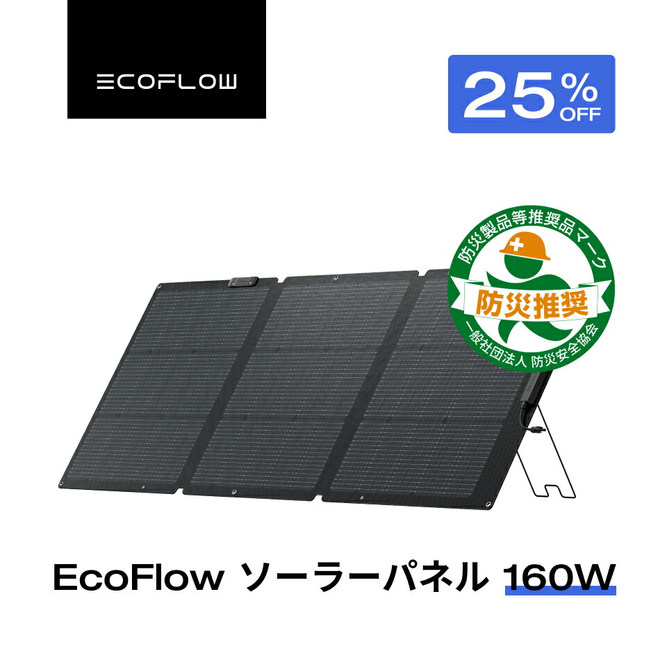 楽天市場】【クーポン併用で46,975円 8/27 23:59まで】EcoFlow ソーラーパネル 220W 片面 ソーラー充電器 太陽光発電 太陽光パネル  ソーラーチャージャー 200W 折り畳み 25% 高変換効率 IP68 薄型 コンパクト 車中泊 キャンプ 停電対策 エコフロー : EcoFlow 公式楽天市場店