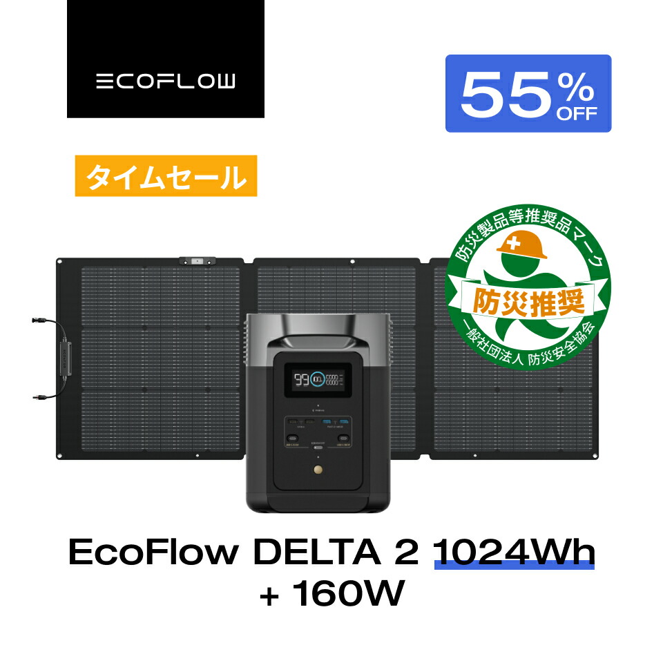 楽天市場】【売り切れ】EcoFlow DELTA Max専用エクストラバッテリー 2016Wh ポータブル電源 アプリ対応 急速充電 純正弦波 非常用電源  車中泊 防災グッズ 発電機 家庭用蓄電池 バッテリー キャンプ 拡張バッテリー 蓄電池 エコフロー : EcoFlow公式楽天市場店