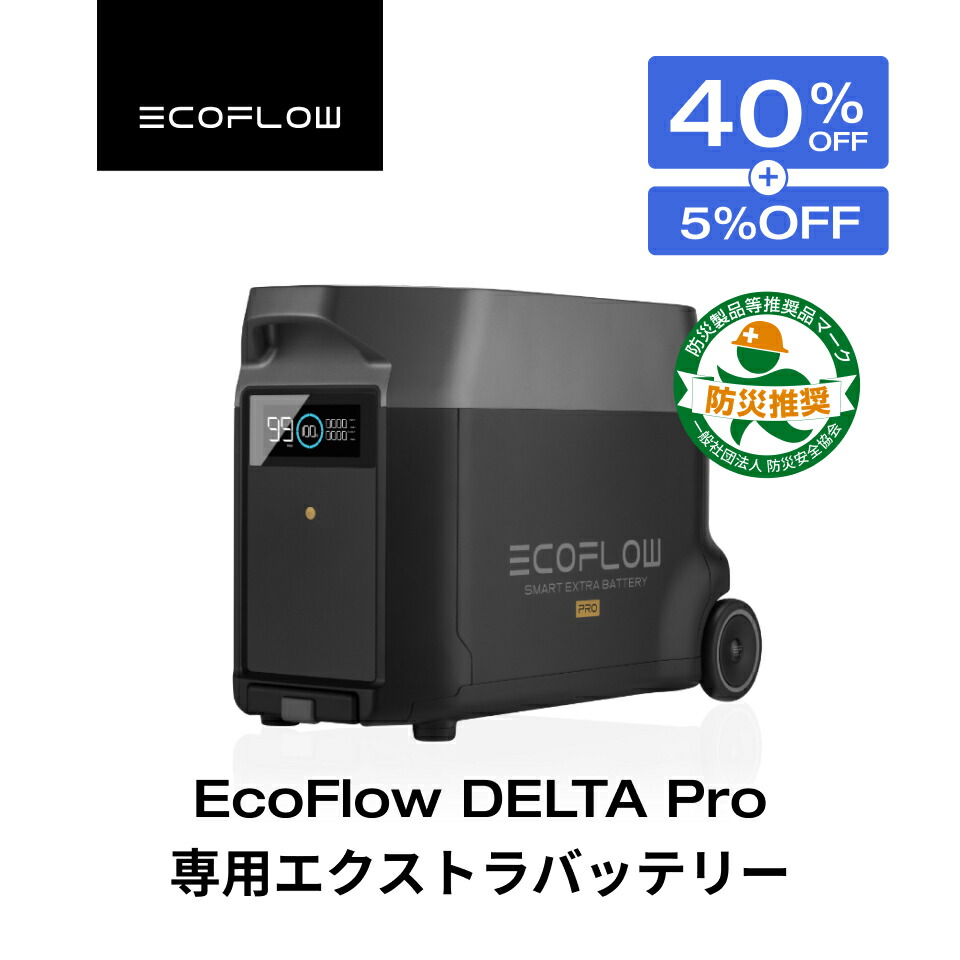 楽天市場】【売り切れ】EcoFlow DELTA 2専用エクストラバッテリー1024Wh ポータブル電源 アプリ対応 急速充電 純正弦波 非常用電源  車中泊 防災 停電 発電機 家庭用蓄電池 バッテリー キャンプ 拡張バッテリー デルタ2 エコフロー : EcoFlow公式楽天市場店