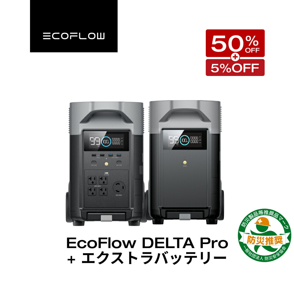 楽天市場】【売り切れ】EcoFlow DELTA 2 Max 専用エクストラバッテリー 2048Wh ポータブル電源 アプリ対応 急速充電 非常用電源  車中泊 防災グッズ 発電機 家庭用蓄電池 バッテリー キャンプ 蓄電池 拡張バッテリー エコフロー : EcoFlow公式楽天市場店