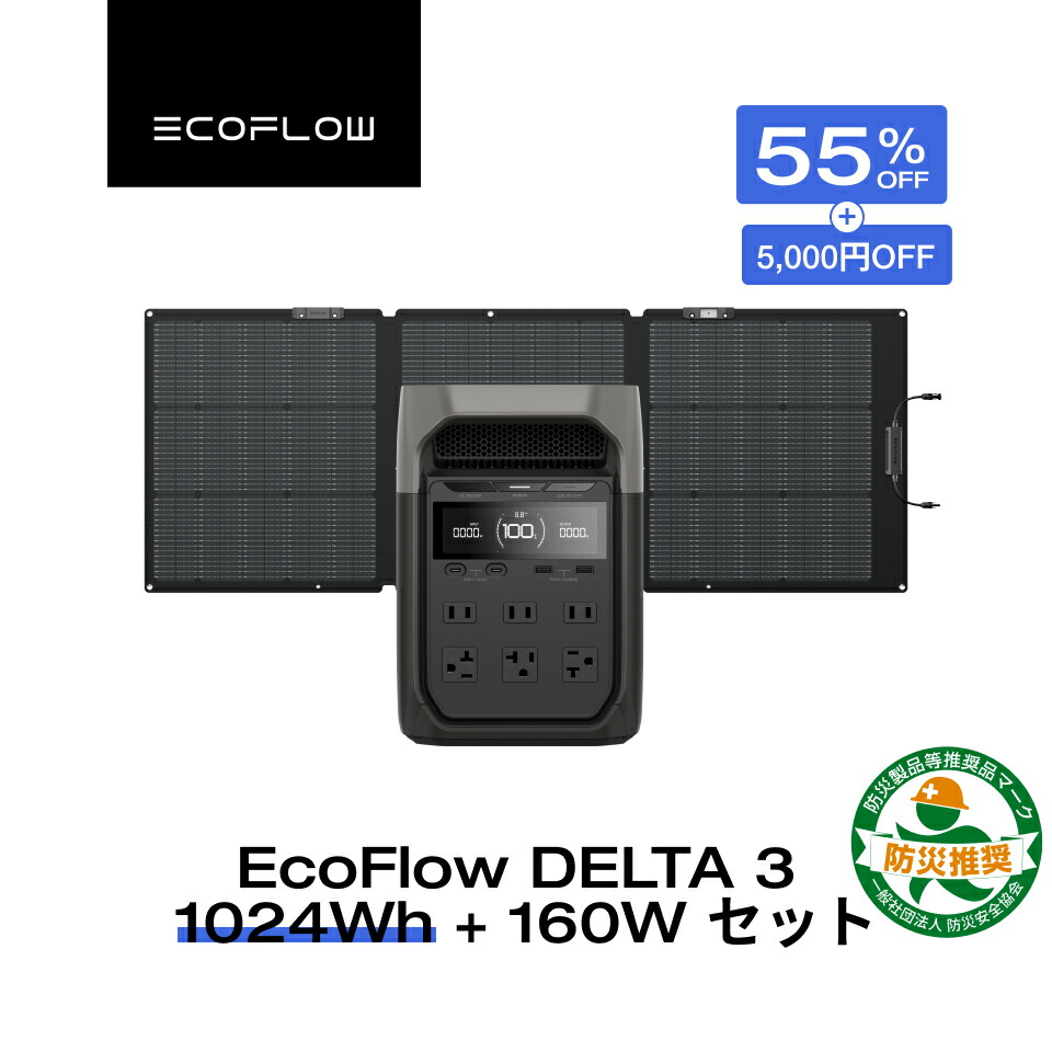 楽天市場】EcoFlow DELTA 3シリーズ専用バッグ ポータブル電源 収納 