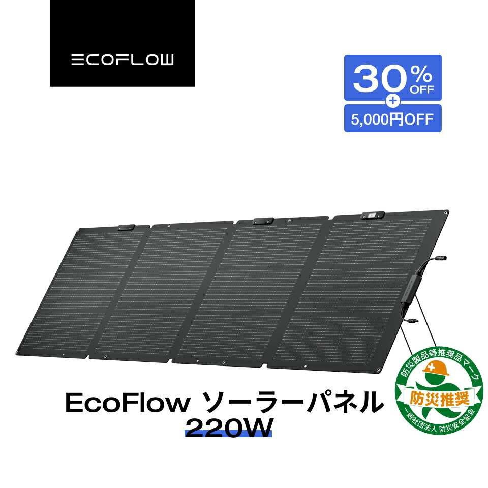 楽天市場】EcoFlow ポータブル電源 ソーラーパネル セット DELTA