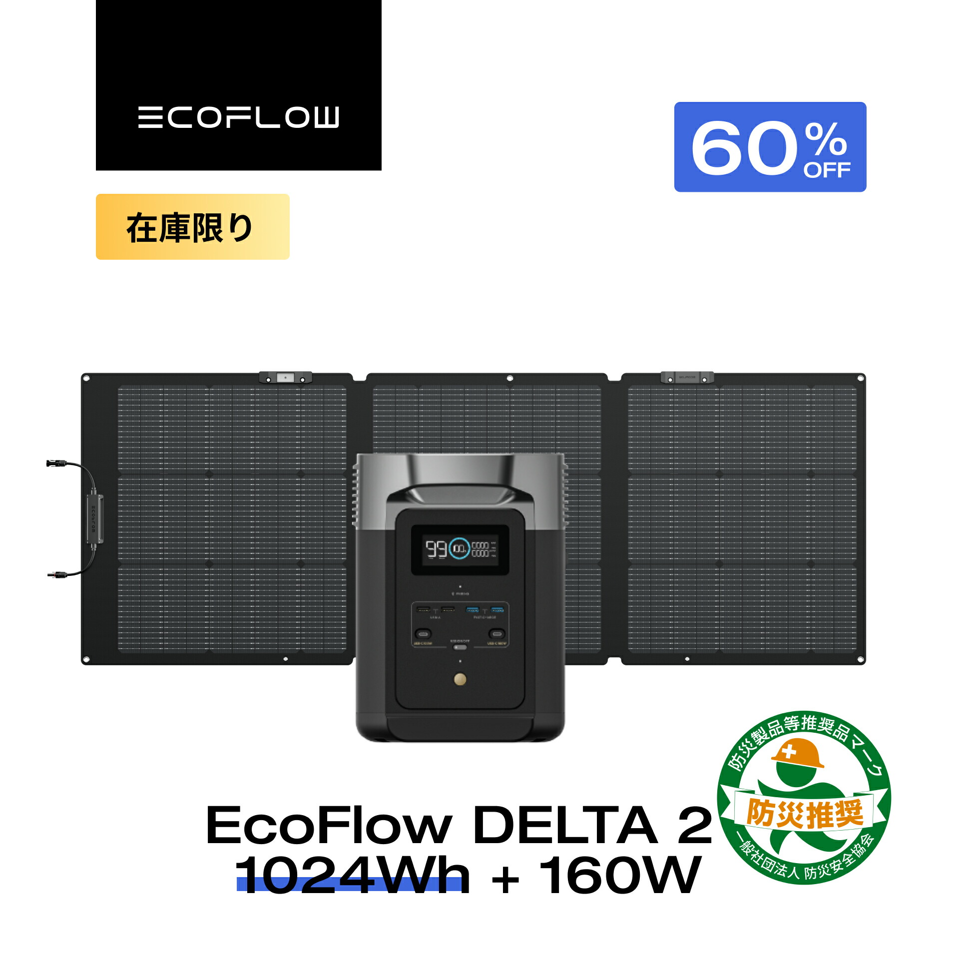 delta2160.jpg