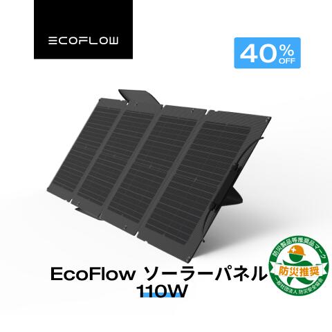 EcoFlow RAPID 続きもの新商いもの特集