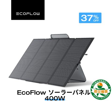 EcoFlow RAPID 続きもの新商いもの特集