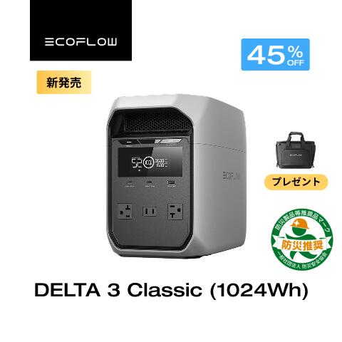 EcoFlow RAPID 続きもの新商いもの特集