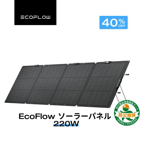 EcoFlow RAPID つづき物新商いもの特集