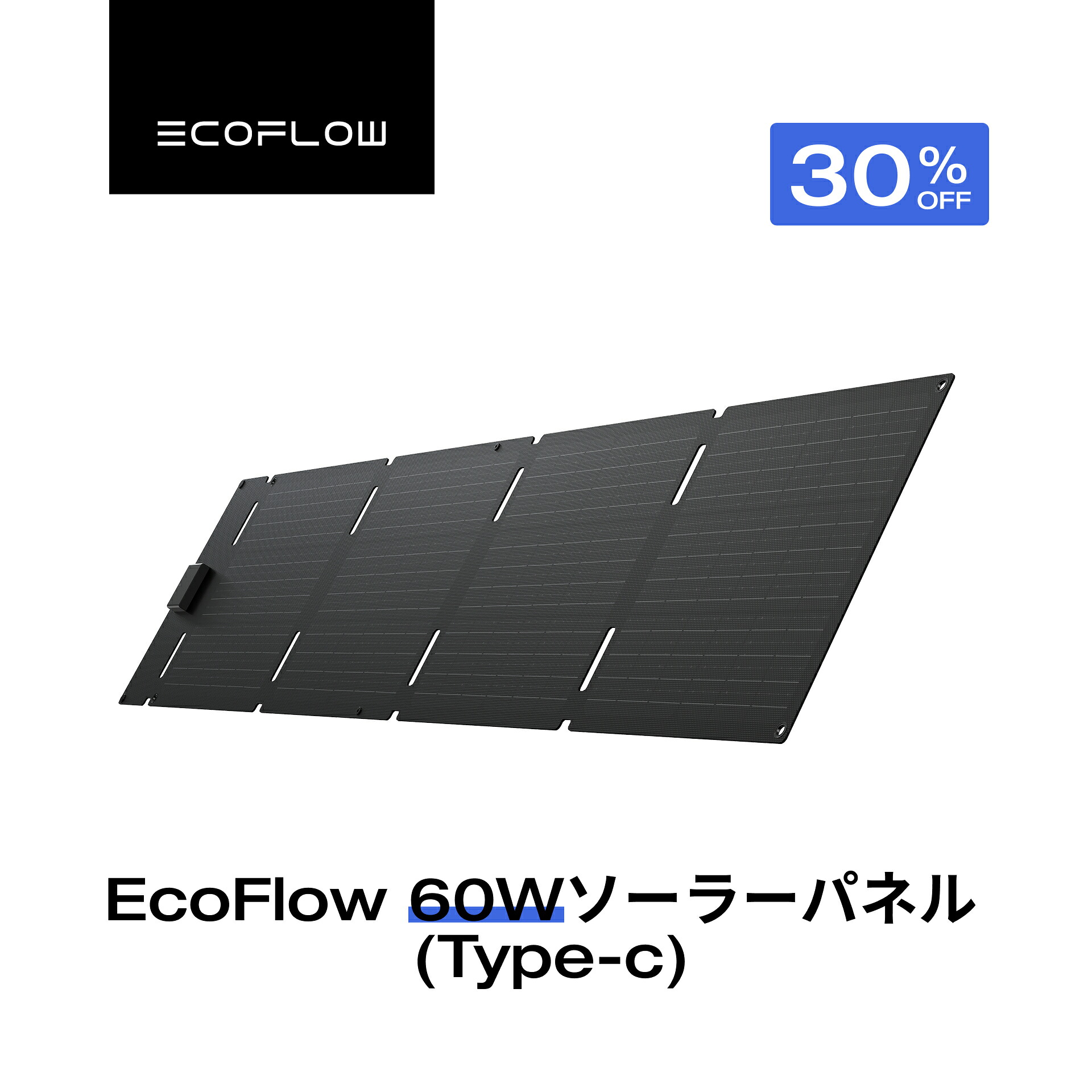 EcoFlow 60Wソーラーパネル（Type-C）