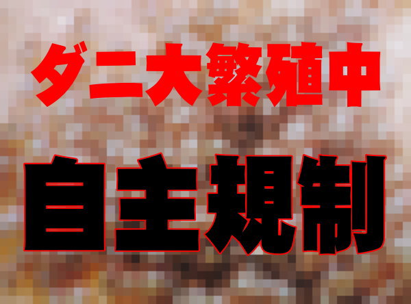 【0のつく日 ポイント10倍】ダニ忌避剤 送料無料 わが家防衛軍ボタニカルダニよけ 100ml 100％天然由来原料 除菌 消臭 化学合成殺虫成分不使用 薬剤に敏感な方、お子様やペットにも安心！【定形外郵便 代引不可】