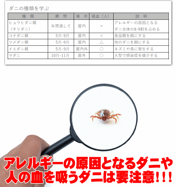【0のつく日 ポイント10倍】ダニ忌避剤 送料無料 わが家防衛軍ボタニカルダニよけ 100ml 100％天然由来原料 除菌 消臭 化学合成殺虫成分不使用 薬剤に敏感な方、お子様やペットにも安心！【定形外郵便 代引不可】