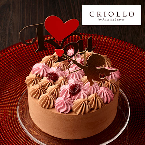 ホワイトデー 送料無料 チョコレート チェリー フォレノワール 12cm 2 4名分 冷凍便 あす楽対応 早割 さくらんぼ グリオット ケーキ チョコ お取り寄せ スイーツ ギフト 美味しい 誕生日 バースデー 3 31までのお届け