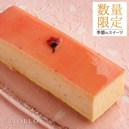 春限定 さくらチーズケーキ 長方形 2 3名様用 冷凍便 最短2 3営業日で出荷 桜 幻のチーズケーキ スイーツ バースデーケーキ 誕生日ケーキ お取り寄せグルメ お花見 卒業 入学 入園 入社 可愛い 春 高級 ブランド お洒落 21 母の日 ギフト 父の日 桜スイーツ 春限定 さくらチーズケーキ 長方形 2 3名様用 冷凍便 最短2 3営業日で出荷 桜 幻のチーズケーキ スイーツ バースデーケーキ 誕生日ケーキ お取り寄せグルメ お花見 卒業 入学 入園 入社 可愛い 春 高級 ブランド お洒落 21 母の日 ギフト 父の日 桜スイーツ