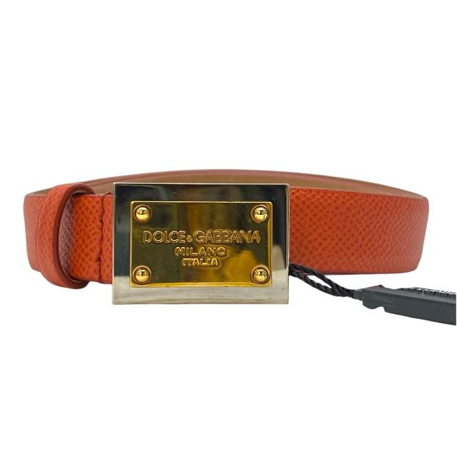 ドルチェ&ガッバーナ DOLCE&GABBANA 44 レザー　ブラウン国内正規 DOLCE&GABBANA ドルチェ＆ガッバーナ フーデッドラムレザー