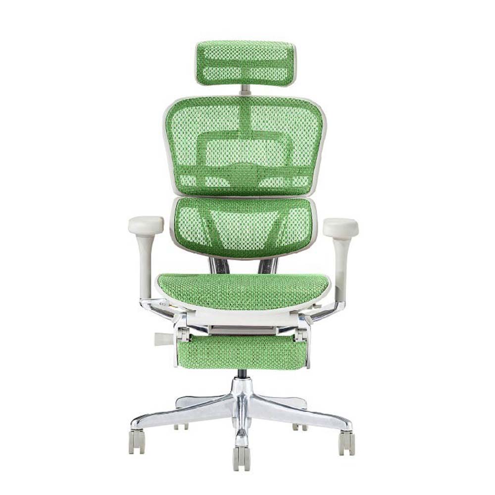 関家具 エルゴヒューマン プロ2 オットマン グレーフレーム EHP2-LPL-DR-GF-GN グリーン 86,031円