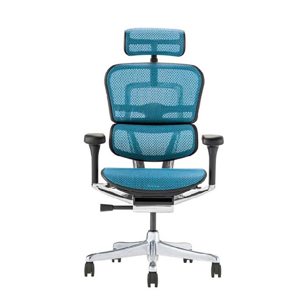関家具 エルゴヒューマン プロ2 ハイタイプ ブラックフレーム EHP2-HAM-DR-BF-BL ブルー｜イーコンビ店
