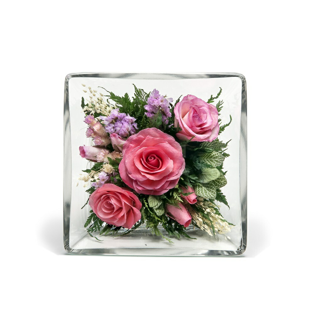 グラスウェア華 素っ気ないフラワー ローズグラスフレーム 褪紅色 Gw901 P 薔薇 玻璃 礼物 生出日曜日 記す日 内祝い ドライフラワー 敬老の日 縁定め 引き出物 お往訪 持成す 退職 入学 卒業 Mattschofield Com