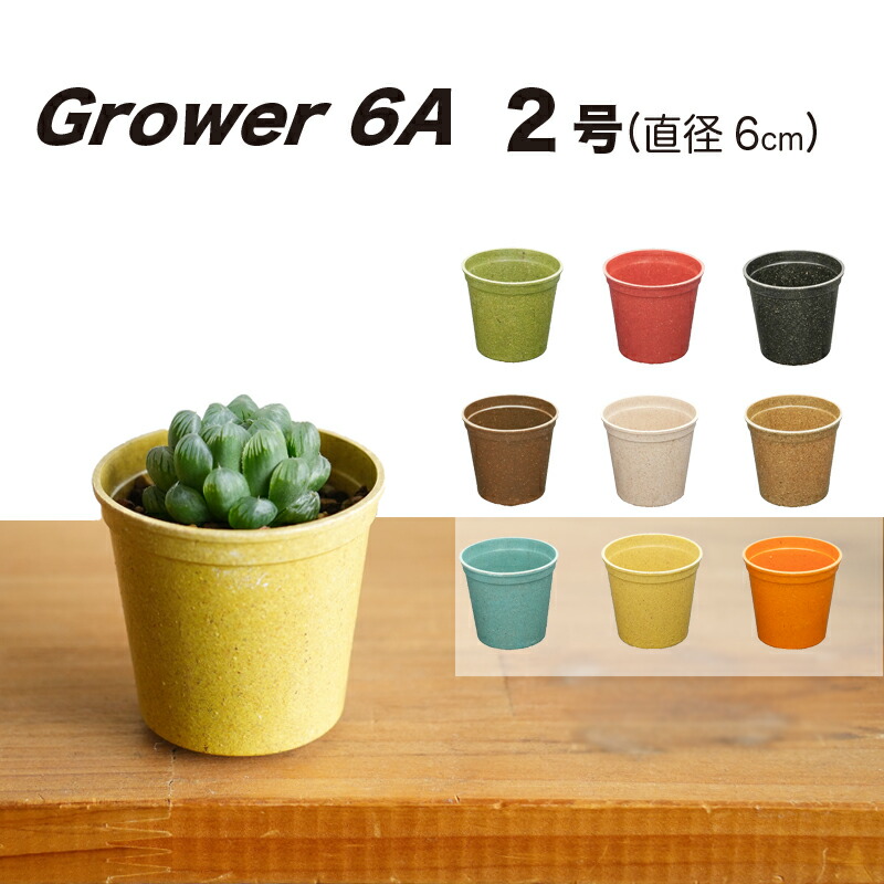 new6a-1.jpg