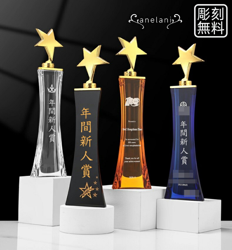 【ポイント 10 倍】彫刻無料！トロフィー オーダーメイド 水琉璃 樹脂製トロフィー 優勝トロフィー ゴルフトロフィー クリスタルトロフィー 金属製トロフィー 優勝カップ スポーツ大会 ゴルフコンペ サッカー 水晶｜ファインド　店