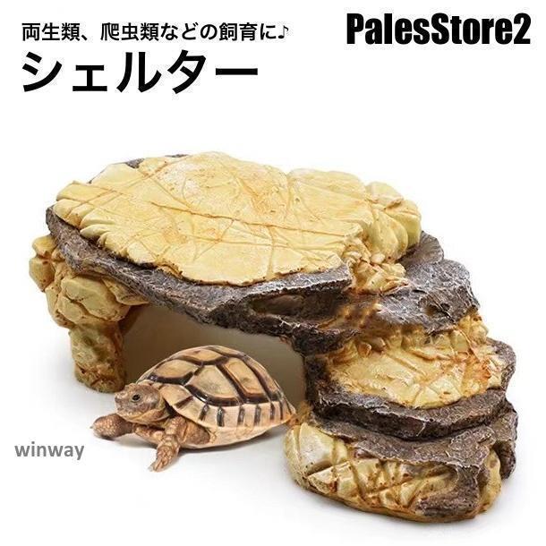 楽天市場】送料無料 シェルター 浮島 爬虫類 両生類 亀 カメ トカゲ