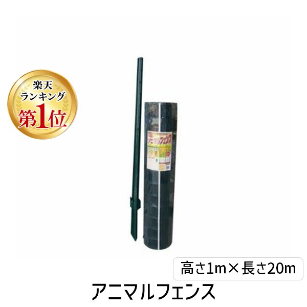 【特集】雨季打つ手グッズ