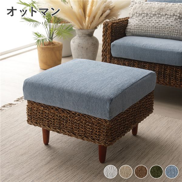 【特集】雨季打つ手グッズ