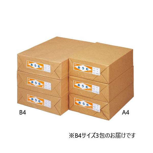 直送・代引不可 更紙 おうむS B4 1000枚×3包 別商品の同時注文不可