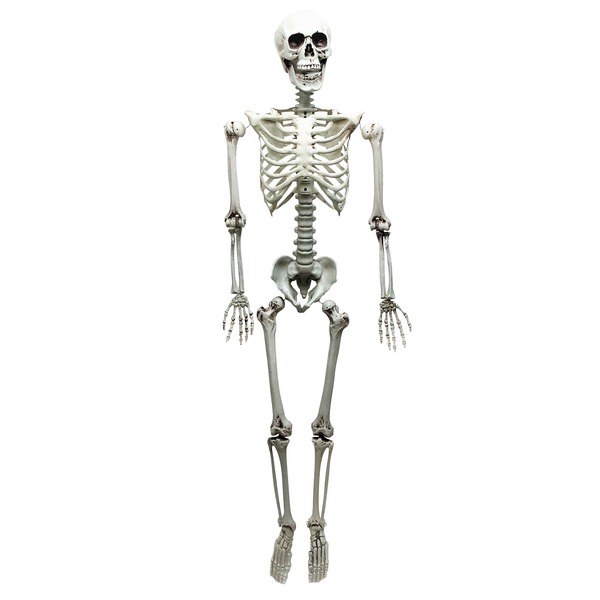 等身大　ガイコツ　スカル 今だけ限定特典 WARNINGテープ6m付き ドクロ 人体模型 骸骨