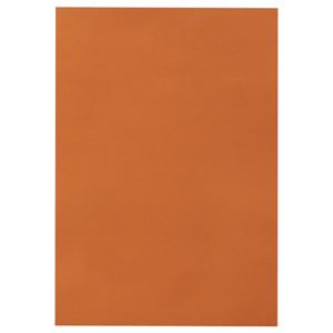 直送・代引不可（まとめ） TANOSEE 色画用紙 八つ切 ちゃいろ 1パック（10枚） 【×30セット】別商品の同時注文不可